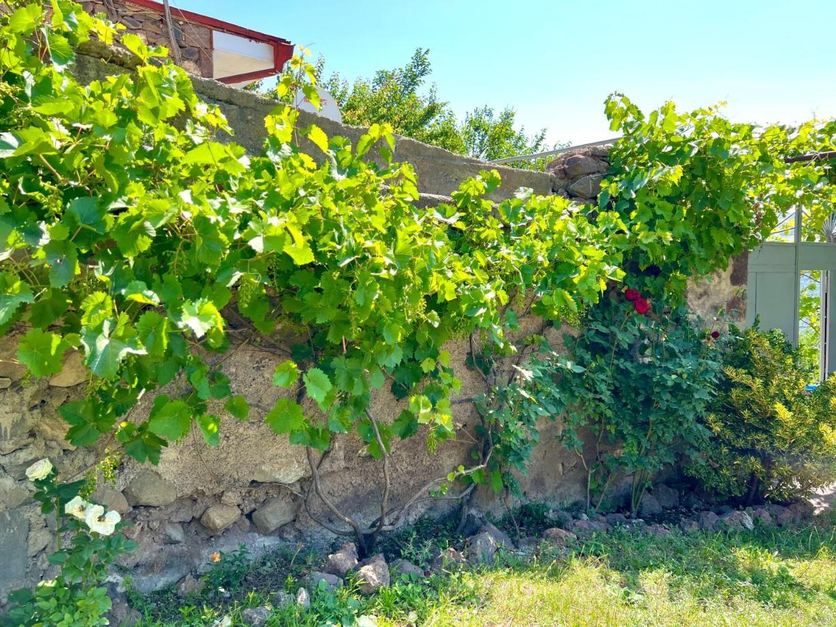 Igor Bed And Breakfast Halidzor ภายนอก รูปภาพ