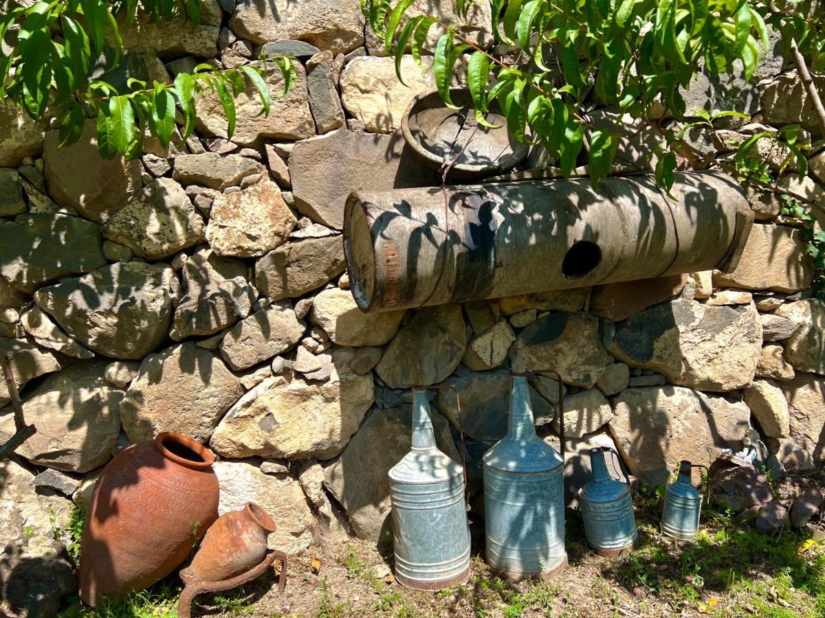 Igor Bed And Breakfast Halidzor ภายนอก รูปภาพ