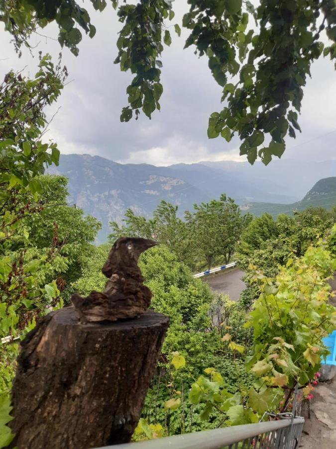 Igor Bed And Breakfast Halidzor ภายนอก รูปภาพ