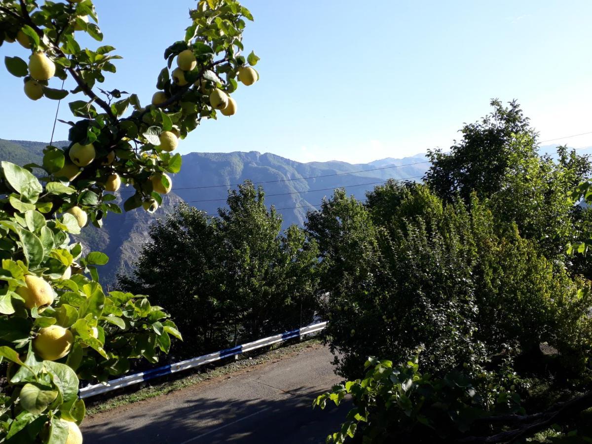Igor Bed And Breakfast Halidzor ภายนอก รูปภาพ
